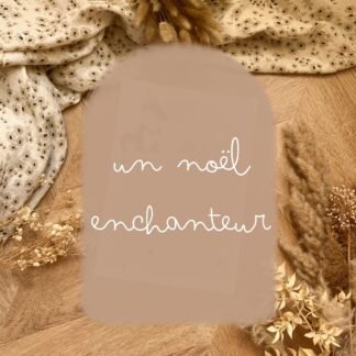 Un Noël enchanteur